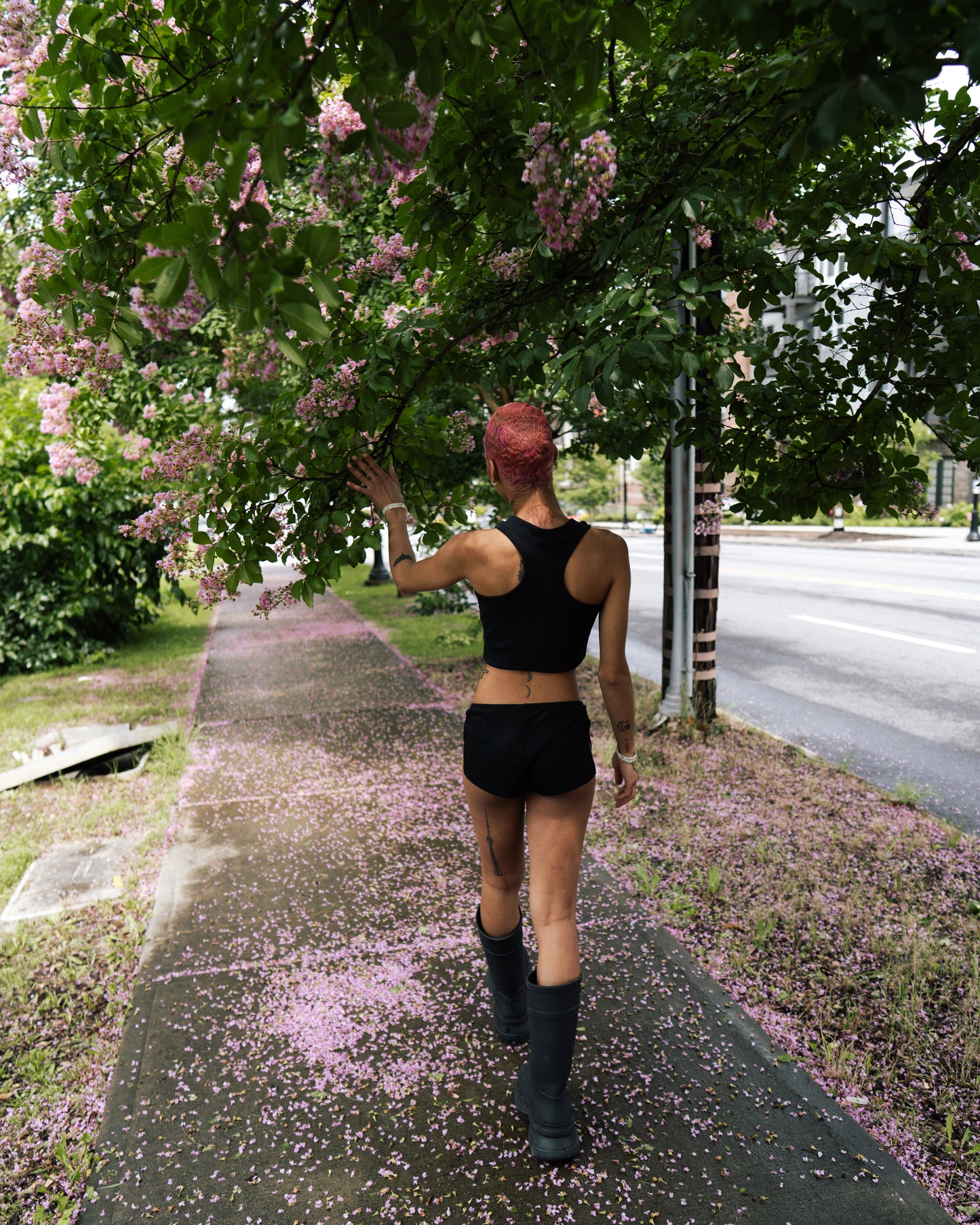 pink diamond tank