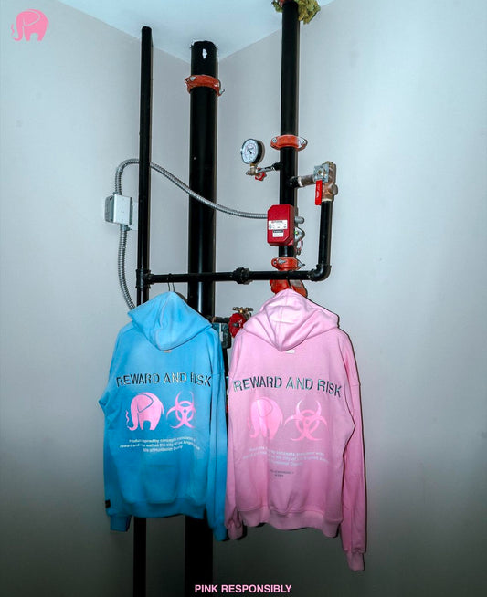 reward + risk hoodie